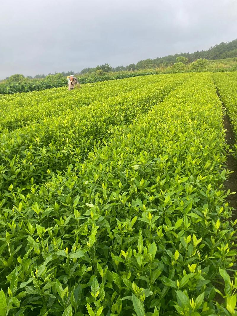 福建同城快递大概要多少钱,上门取货_123随叫随到