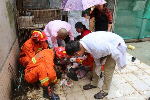 女子被钢筋砸中身亡,仓配一体,时效速达