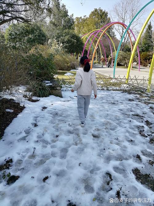 大年初四北京下雪,仓配一体,时效速达