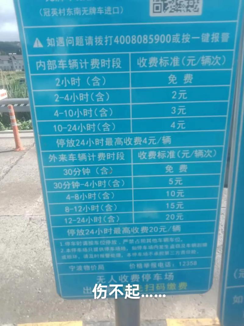 救人白马高烧超40℃,天天发车准时送达_123随叫随到