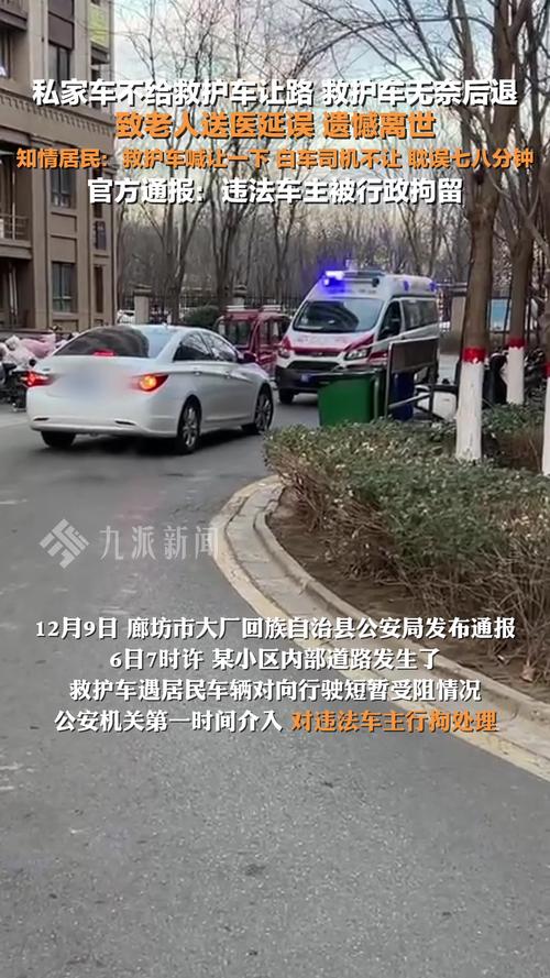 救人白马高烧超40℃,物流专线直达_123随叫随到